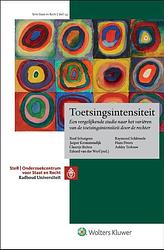 Foto van Toetsingsintensiteit - paperback (9789013167764)