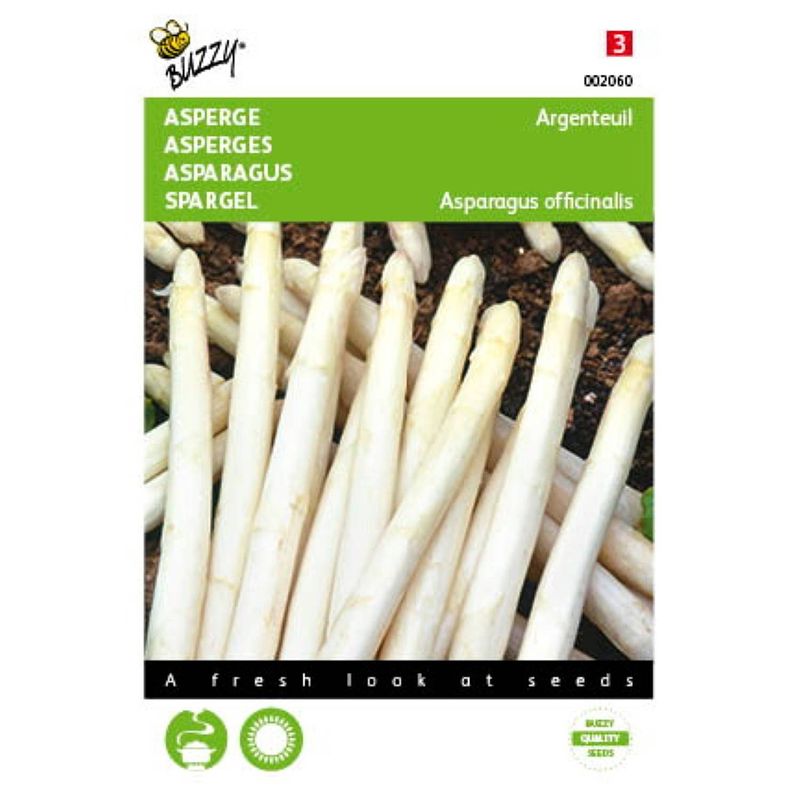 Foto van 5 stuks asperge argenteuil tuinplus