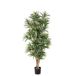 Foto van Kunstplant dracaena reflexa - 120 cm