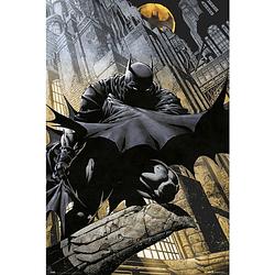 Foto van Grupo erik dc comics batman gargoyle poster 61x91,5cm