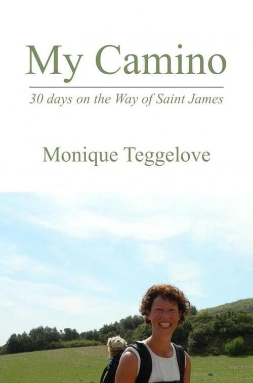 Foto van My camino - monique teggelove - ebook (9789464184778)