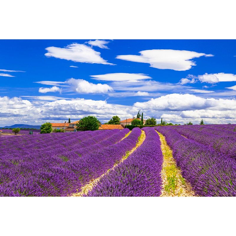 Foto van Tuinschilderij frankrijk 50x70 cm