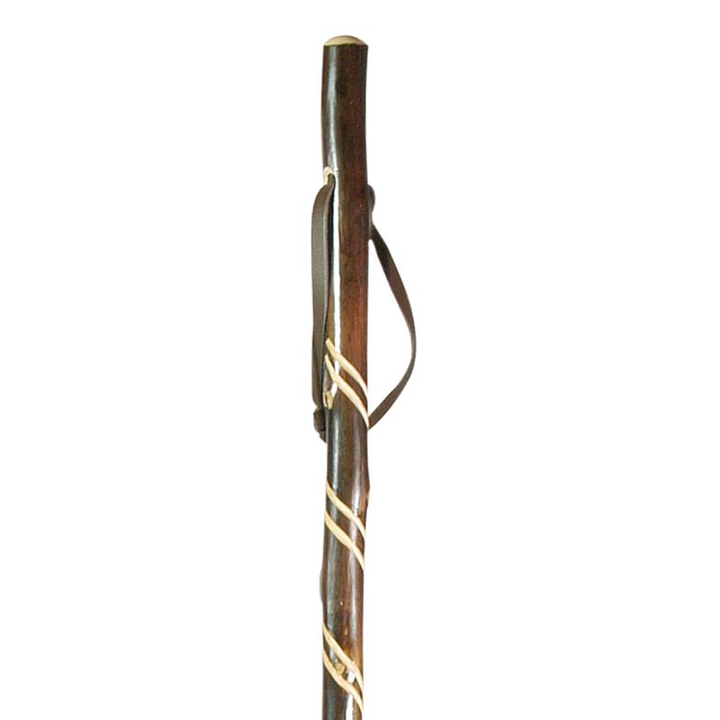 Foto van Classic canes jachtstok - bruin - kastanje hout - spiraal - lengte 122 cm - jagers wandelstok - wandelstok outdoor
