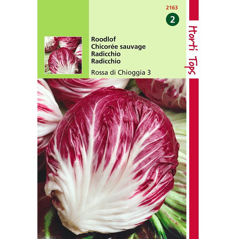 Foto van 2 stuks - hortitops - radicchio rosso di chioggia palla rossa 4