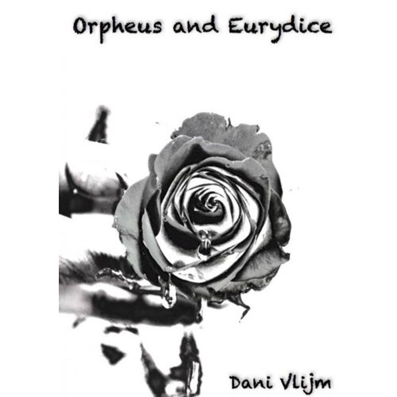 Foto van Orpheus and eurydice