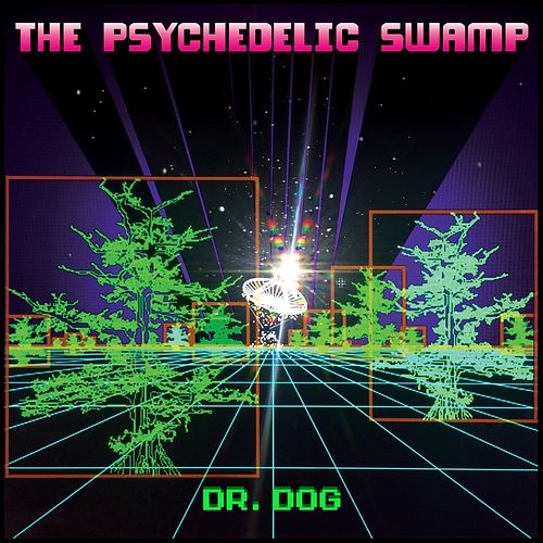 Foto van The psychedelic swamp - cd (8714092740622)