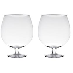 Foto van 2x stuks transparante luxe stijlvolle brandy vaas/vazen van glas 24 cm - vazen