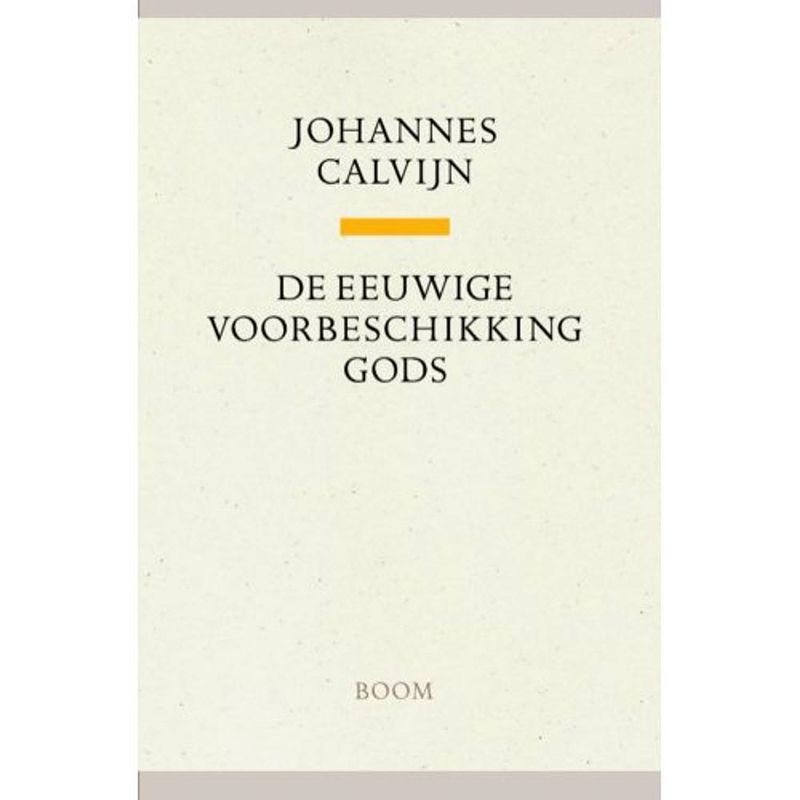 Foto van De eeuwige voorbeschikking gods