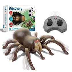 Foto van Discovery kids rc tarantula - spin met lichtgevende ogen en geluid