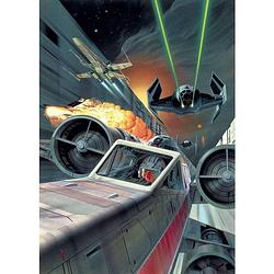 Foto van Komar star wars classic death star trench run vlies fotobehang 200x280cm 4-banen