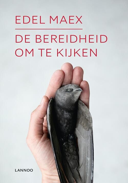 Foto van De bereidheid om te kijken - edel maex - ebook (9789401456852)