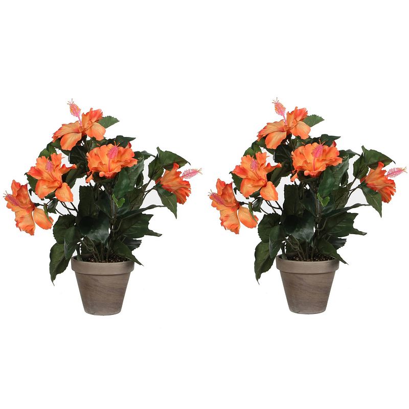 Foto van 2x stuks hibiscus kunstplanten oranje in grijze pot h40 x d30 cm - kunstplanten