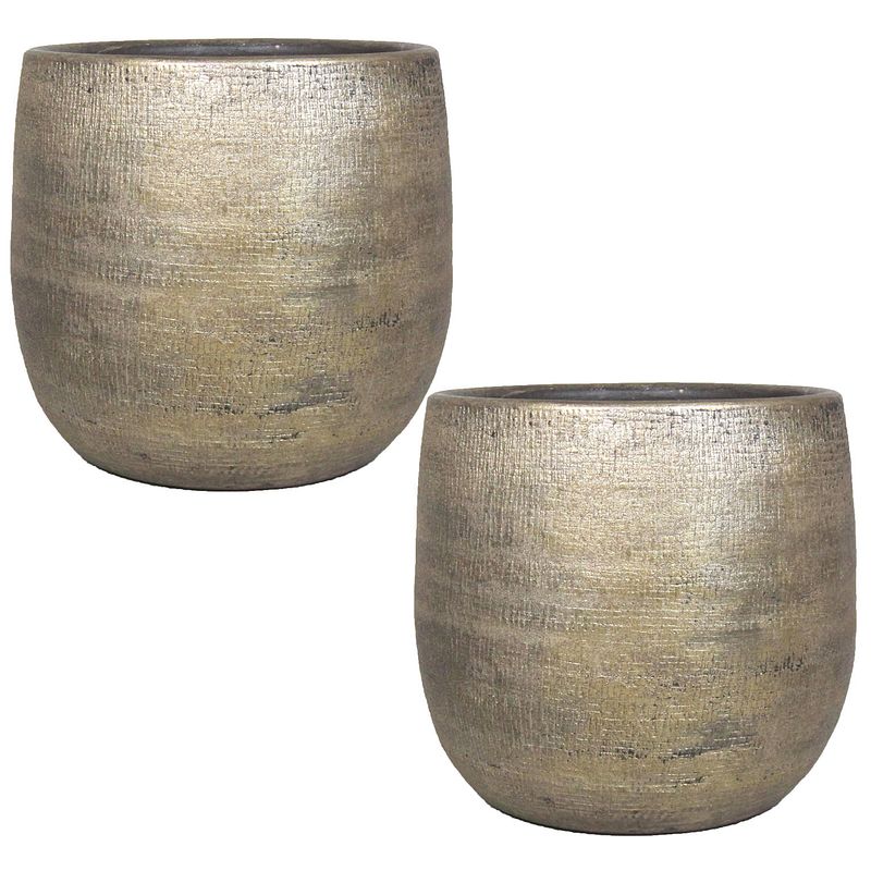 Foto van Set van 2x stuks luxe plantenpotten/bloempotten goud mira van keramiek 14 cm - plantenpotten