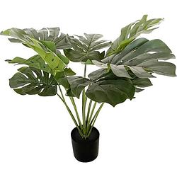 Foto van Greendream kunstplant - monstera deliciosa - gatenplant - kamerplant - 60cm