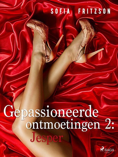 Foto van Gepassioneerde ontmoetingen 2: jesper - sofia fritzson - ebook