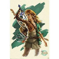 Foto van Poster the legend of zelda tears of the kingdom link unleashed 61x91,5cm