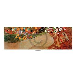 Foto van Gustav klimt - acqua mossa kunstdruk 50x20cm