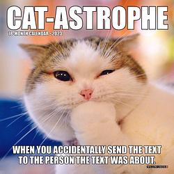 Foto van Cat-astrophe kalender 2023 mini