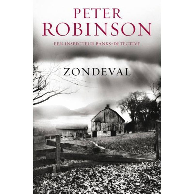 Foto van Zondeval - dci banks