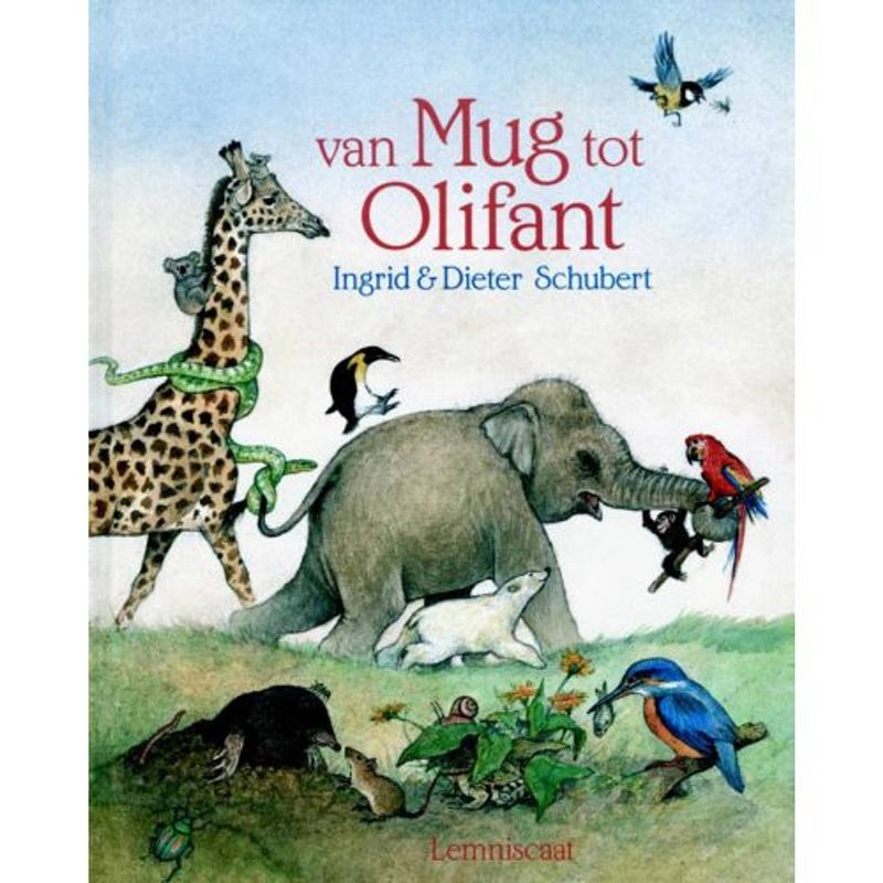 Foto van Van mug tot olifant