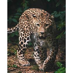 Foto van Animal pictures fleece deken luipaard - 120 x 150 cm - multi