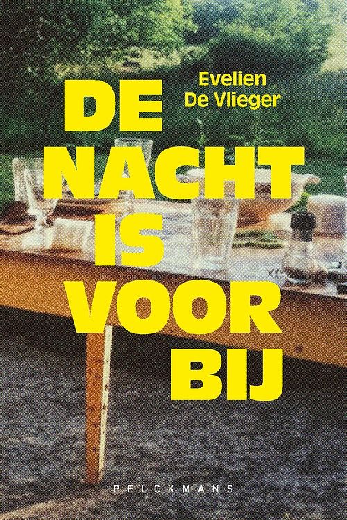 Foto van De nacht is voorbij - evelien de vlieger - ebook