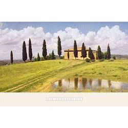 Foto van Jim chamberlain - tuscan hillside #5 kunstdruk 91x61cm