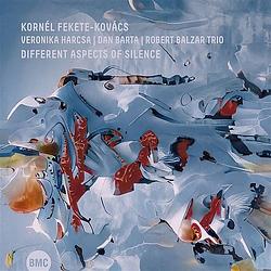 Foto van Different aspects of silence - cd (5998309303210)