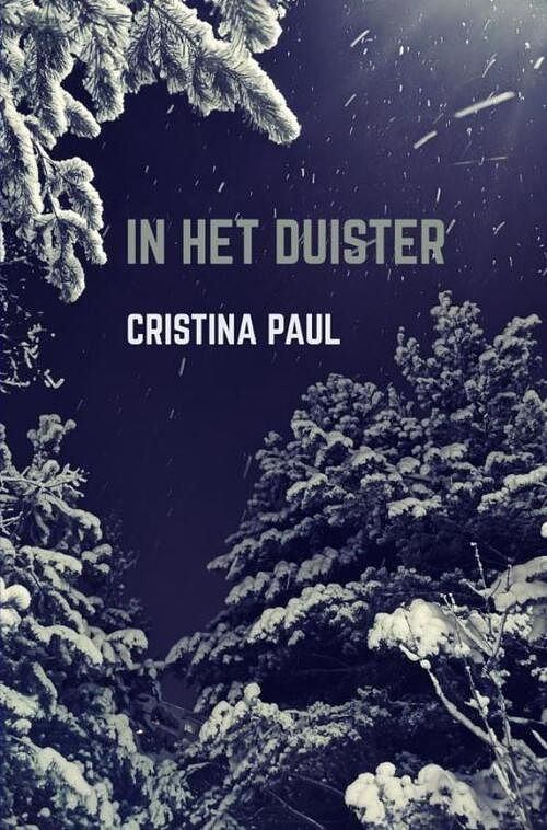 Foto van In het duister - cristina paul - ebook (9789464357844)