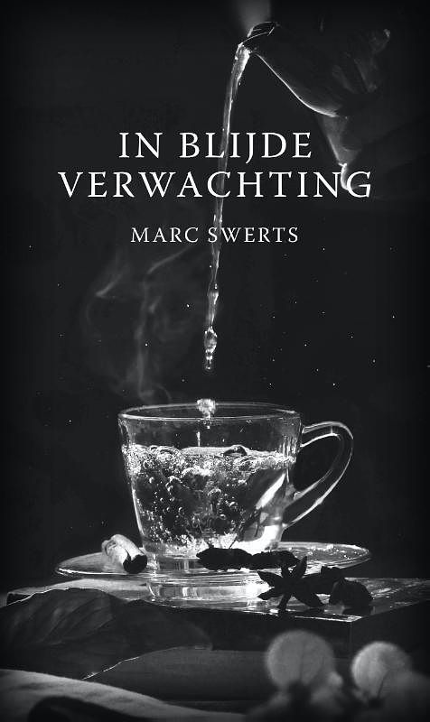 Foto van In blijde verwachting - marc swerts - paperback (9789493293281)