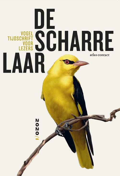 Foto van De scharrelaar - diverse auteurs - ebook (9789045041308)