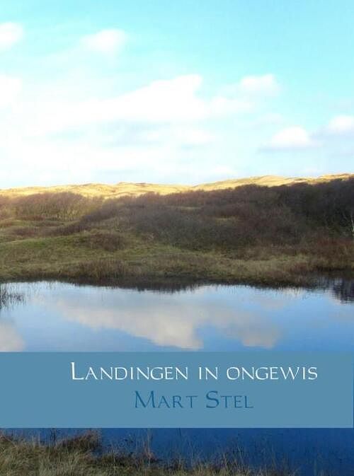 Foto van Landingen in ongewis - mart stel - ebook (9789402129717)