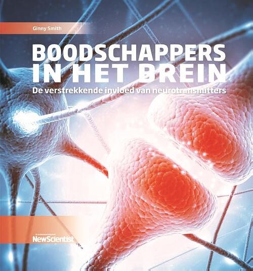 Foto van Boodschappers in het brein - ginny smith - hardcover (9789085717799)