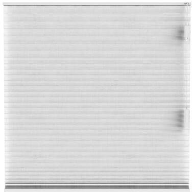 Foto van Fenstr plisségordijn sidney dubbel 25mm transparant - wit (10326) - leen bakker