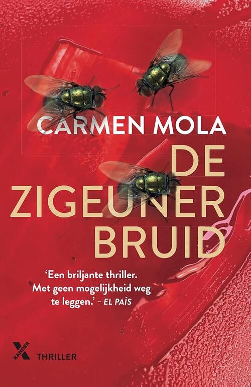 Foto van De zigeunerbruid - carmen mola - ebook (9789401610919)