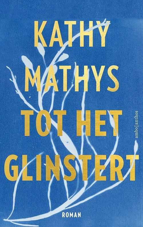 Foto van Tot het glinstert - kathy mathys - ebook