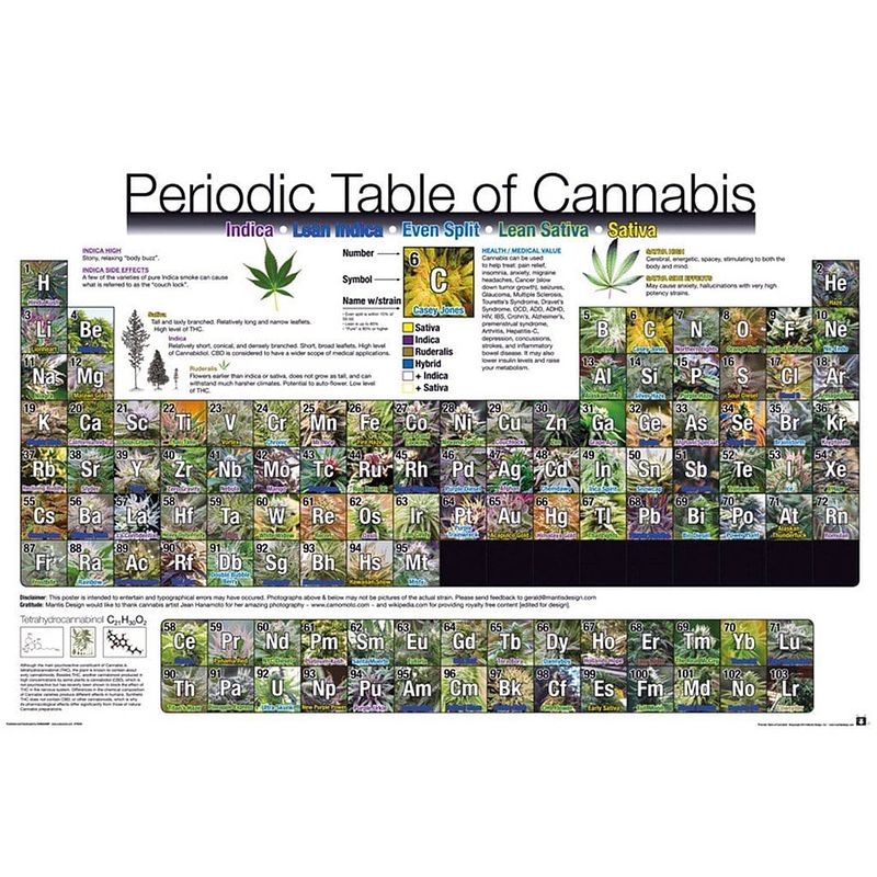 Foto van Gbeye periodic table of cannabis poster 91,5x61cm