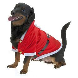 Foto van Kerst jasje voor honden - verkleedattribuut