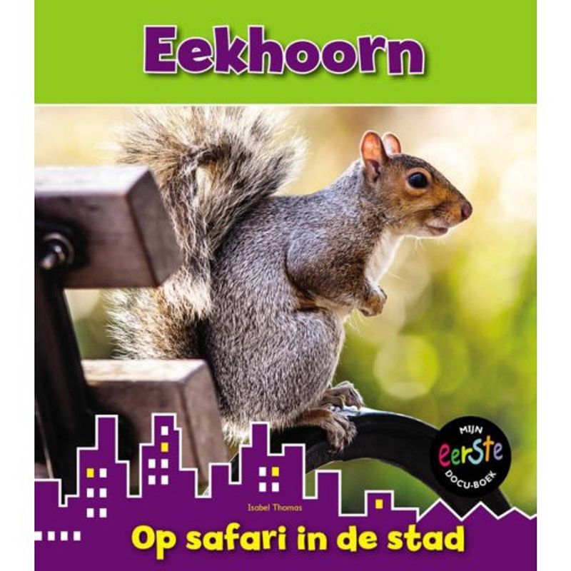 Foto van Eekhoorn - op safari in de stad