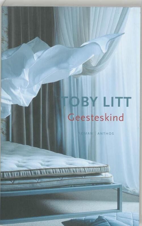 Foto van Geesteskind - toby litt - ebook (9789041418869)