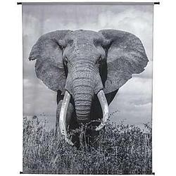 Foto van Wall art print olifant - zwart - 170x140 cm - leen bakker