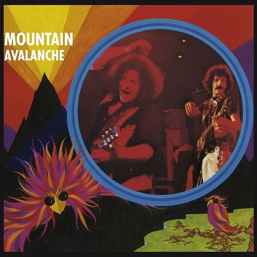 Foto van Avalanche - cd (8718627231685)