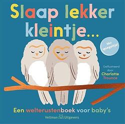 Foto van Slaap lekker kleintje... - hardcover (9789048320981)