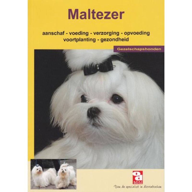 Foto van De maltezer - over dieren