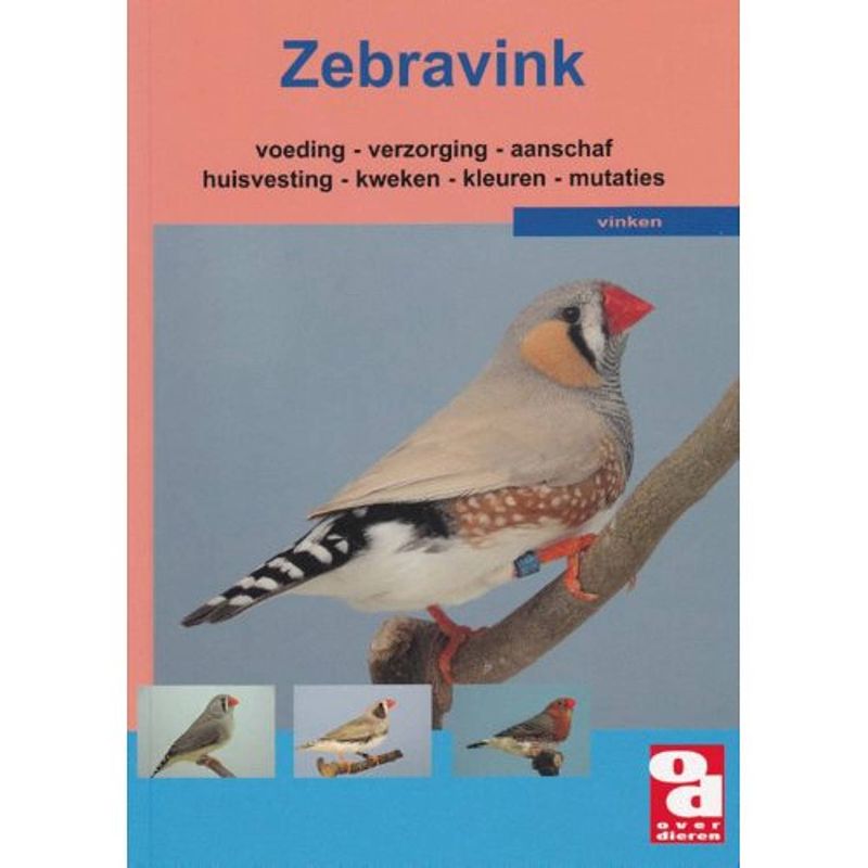 Foto van De zebravink - over dieren