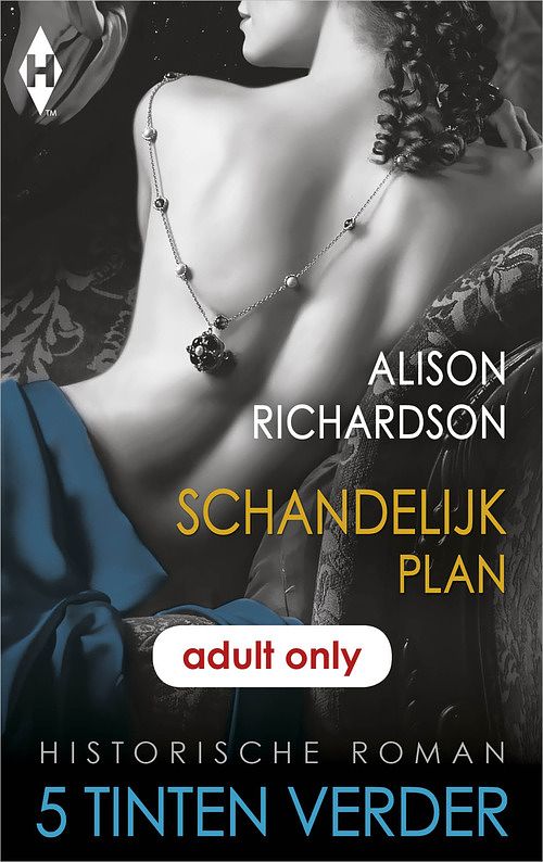 Foto van Schandelijk plan - alison richardson - ebook