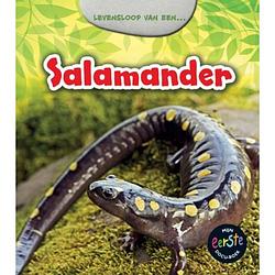 Foto van Salamander - mijn eerste docuboek