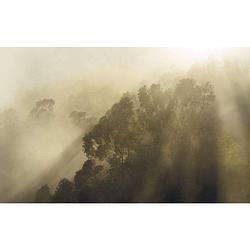 Foto van Komar misty mountain vlies fotobehang 400x250cm 4-banen