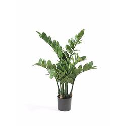 Foto van Kantoor kunstplant zamioculcas/kamerpalm 70 cm - kunstplanten