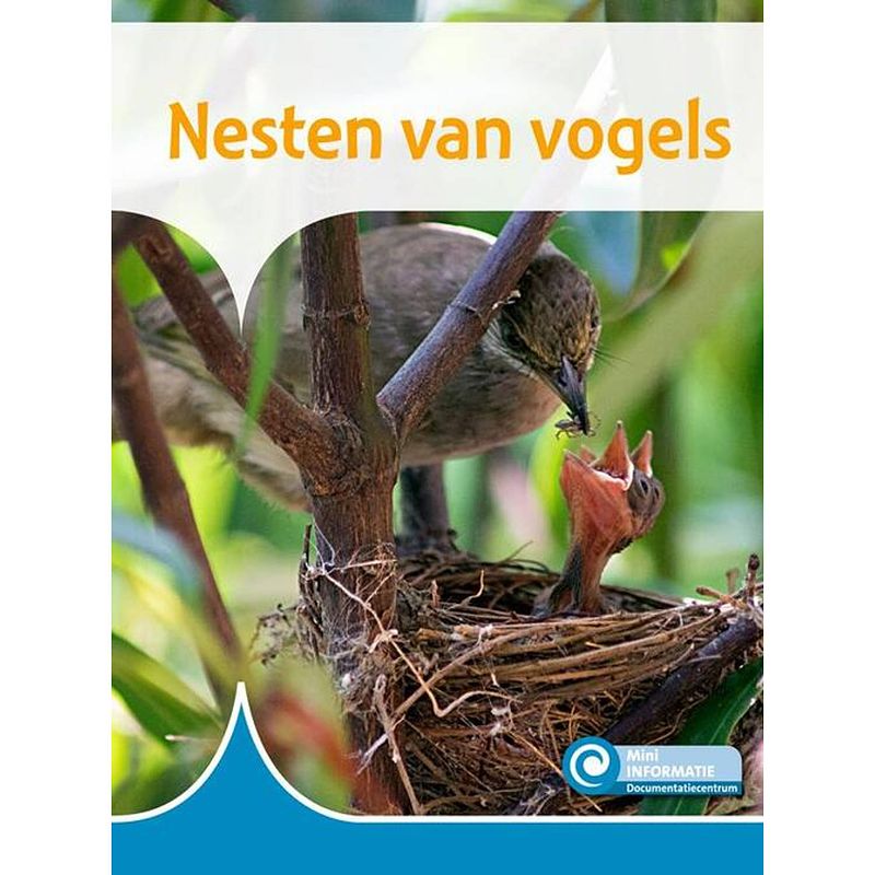 Foto van Nesten van vogels